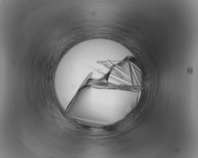 X0000111230605200907021025