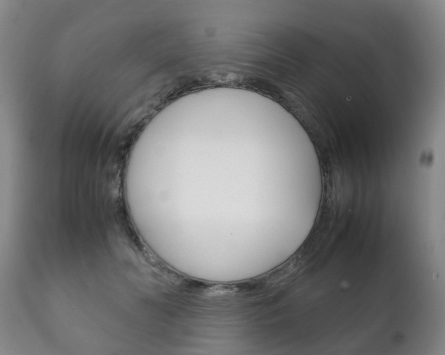 X0000111230606200907021025