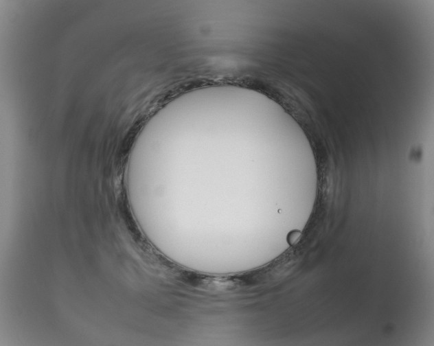 X0000111230607200907021025