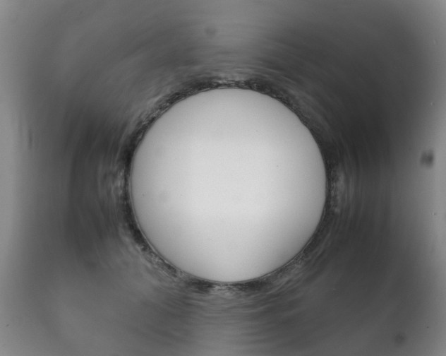 X0000111230608200907021025