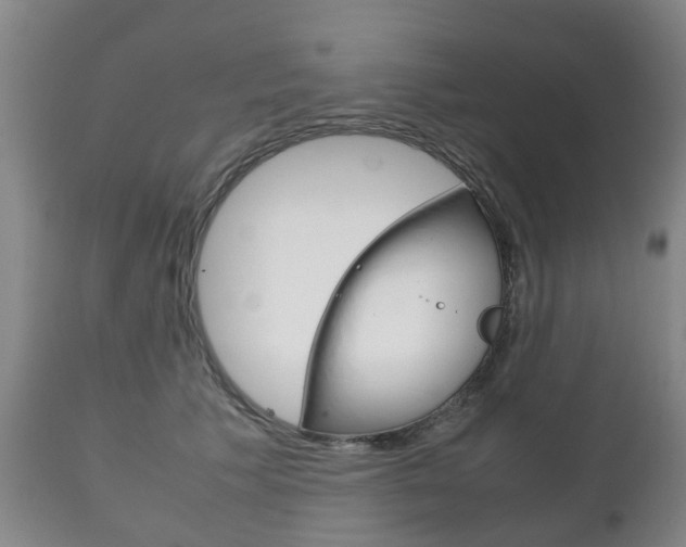 X0000111230609200907021025