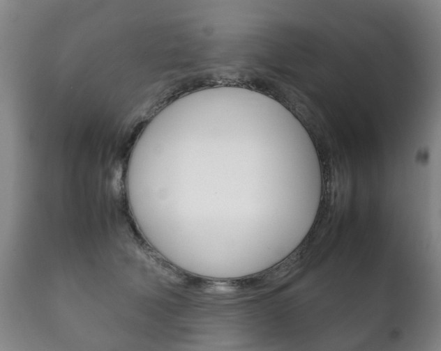 X0000111230610200907021025