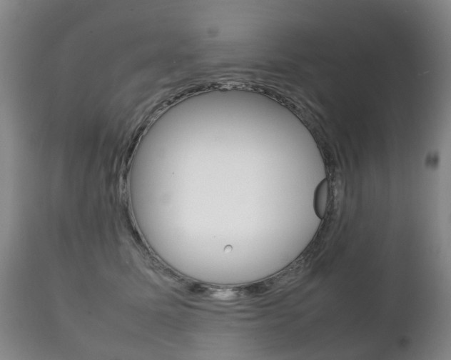 X0000111230611200907021025