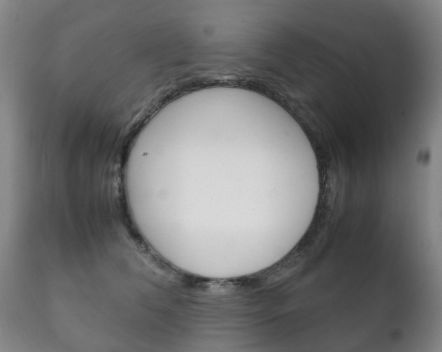 X0000111230612200907021025
