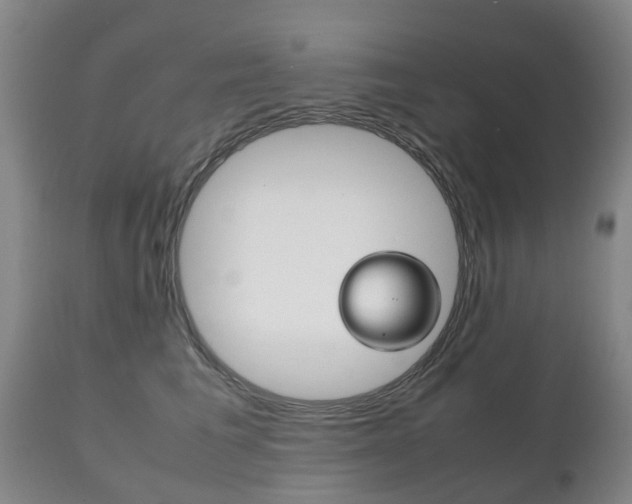 X0000111230613200907021025