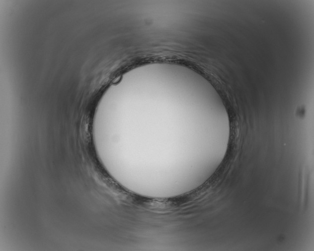 X0000111230615200907021025