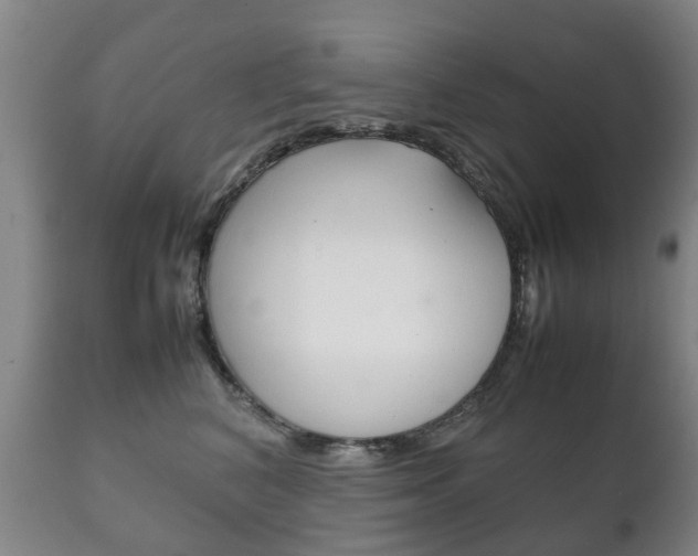 X0000111230616200907021025