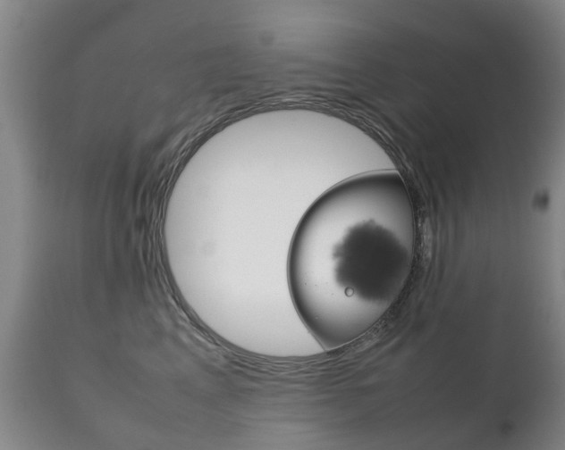 X0000111230617200907021025