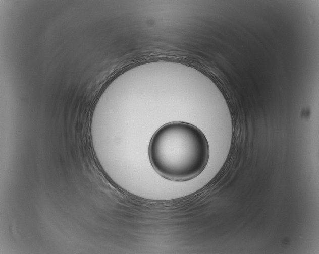 X0000111230621200907021025