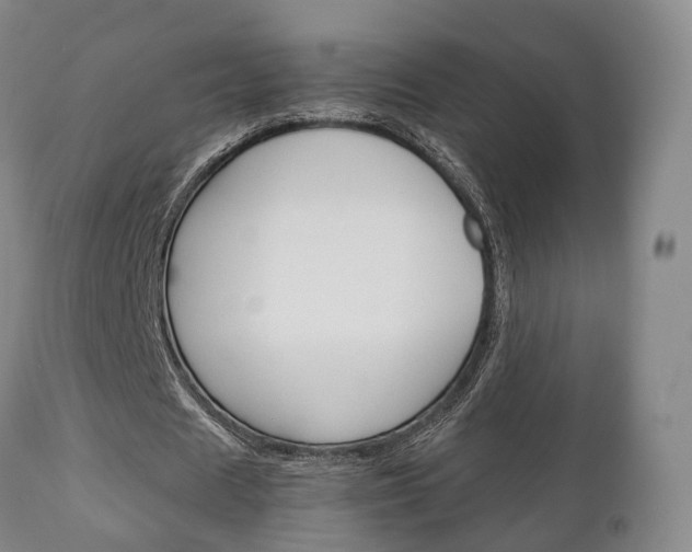 X0000111230625200907021024