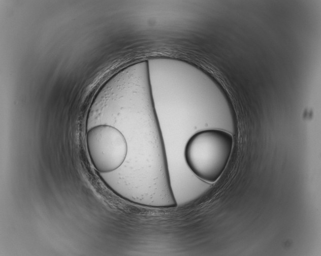X0000111230626200907021024