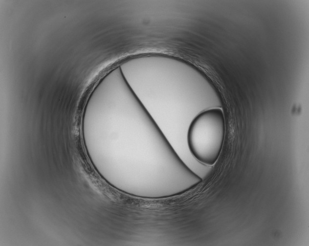 X0000111230628200907021024