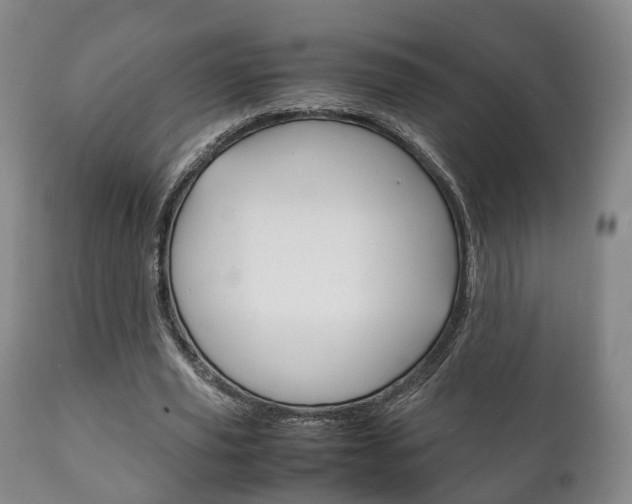 X0000111230629200907021024