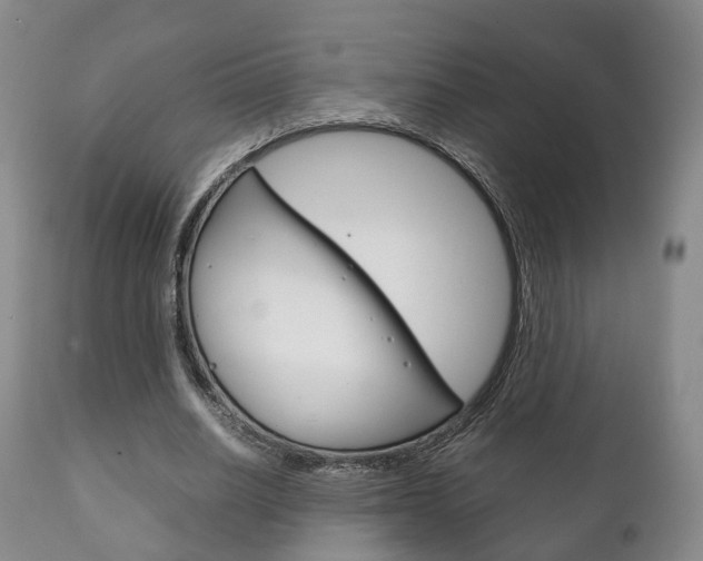 X0000111230630200907021024