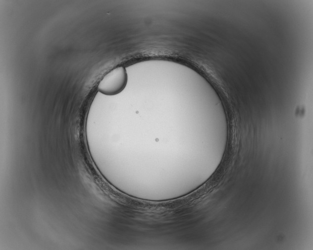 X0000111230631200907021024