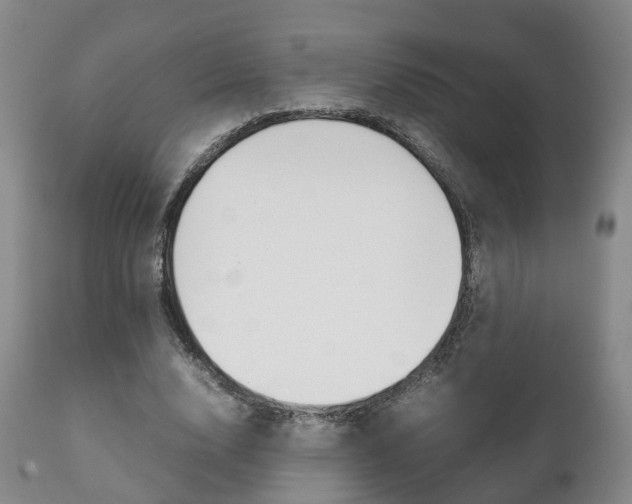 X0000111230632200907021024
