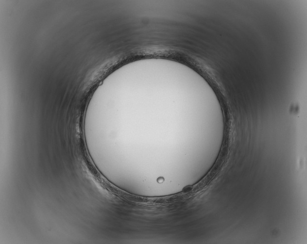 X0000111230633200907021024