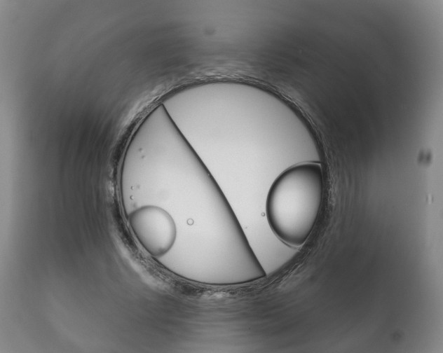 X0000111230634200907021024