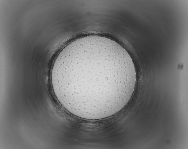 X0000111230635200907021024