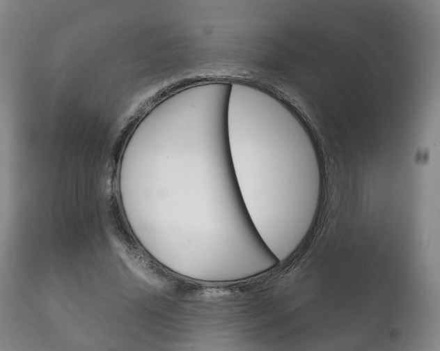 X0000111230636200907021024