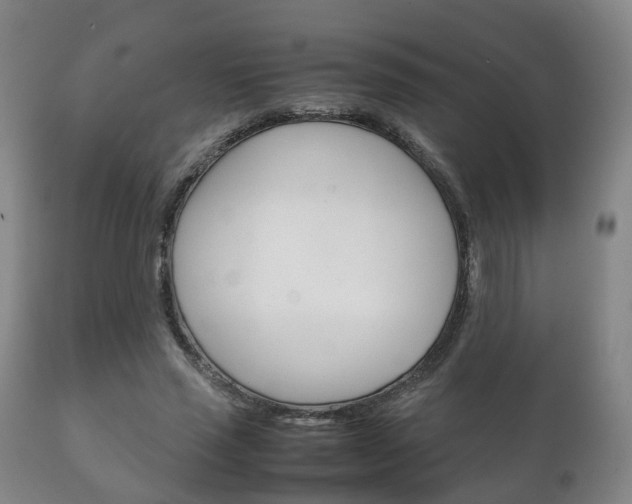 X0000111230637200907021024