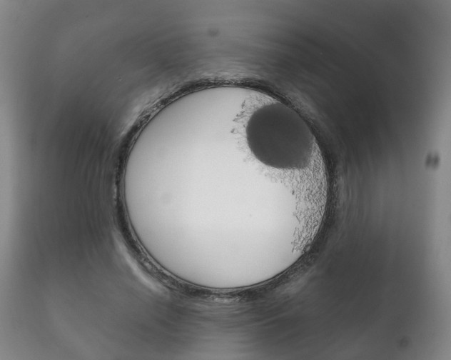 X0000111230638200907021024