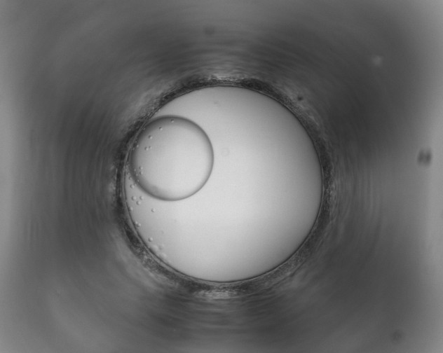 X0000111230639200907021024