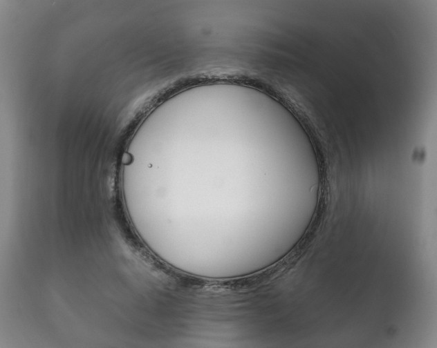 X0000111230640200907021024