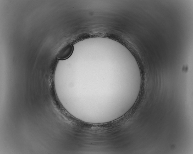 X0000111230641200907021025