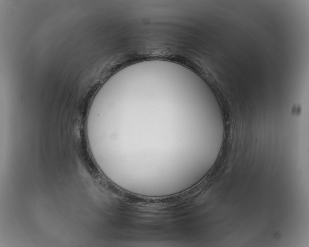 X0000111230643200907021025