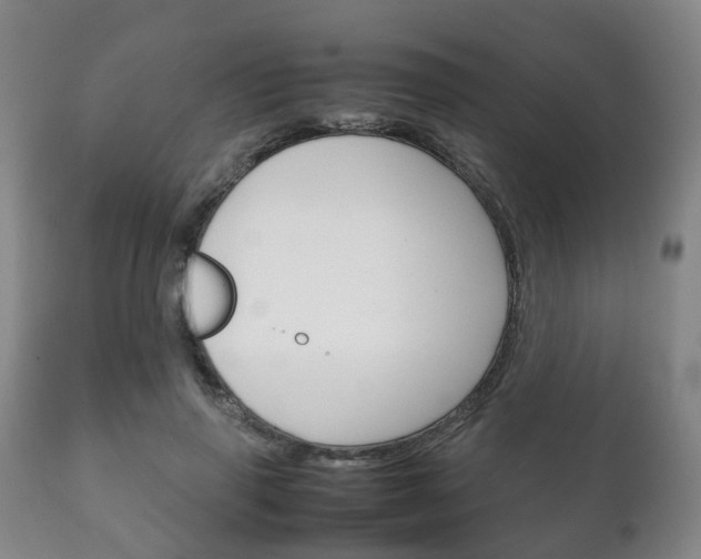 X0000111230645200907021025