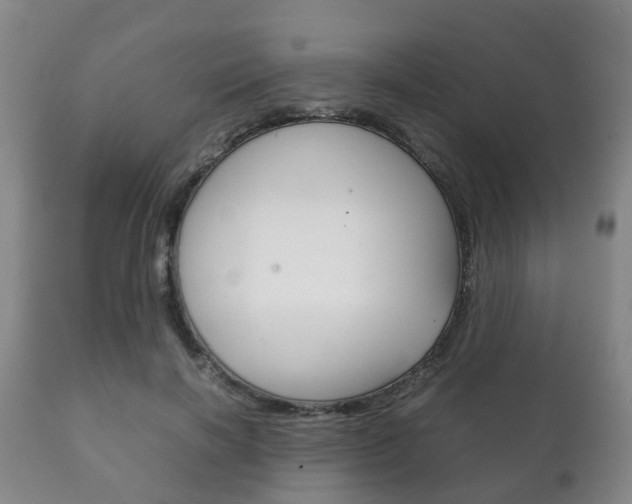 X0000111230646200907021025