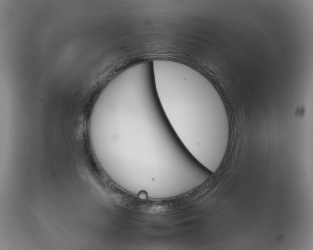 X0000111230647200907021025