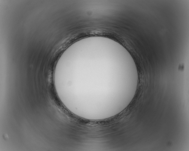 X0000111230648200907021025