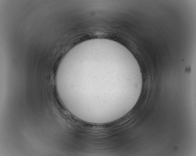 X0000111230651200907021025
