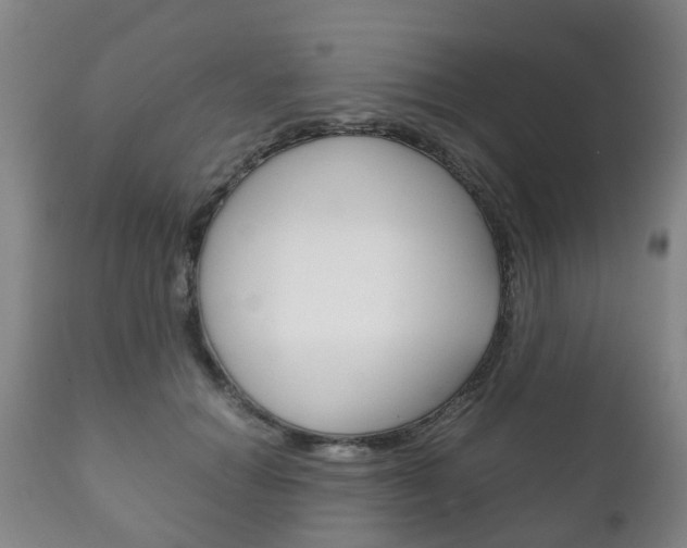 X0000111230654200907021025
