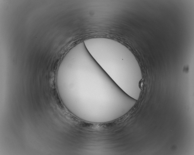 X0000111230656200907021025