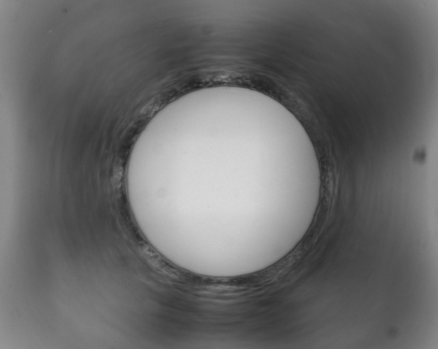 X0000111230657200907021025