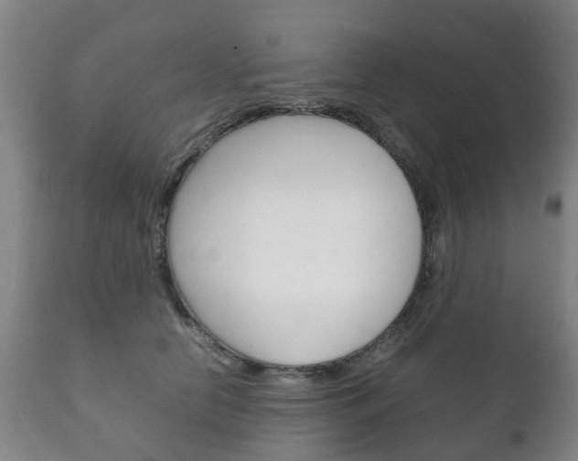 X0000111230658200907021025