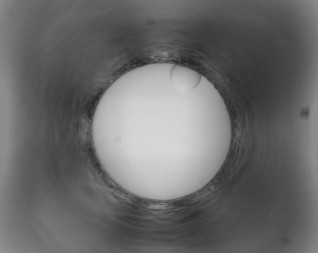 X0000111230659200907021025