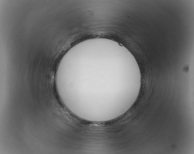 X0000111230660200907021025