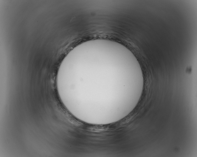 X0000111230661200907021025