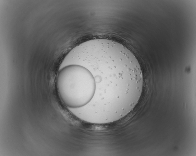 X0000111230662200907021025
