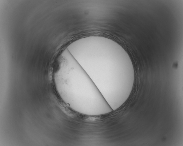 X0000111230664200907021025