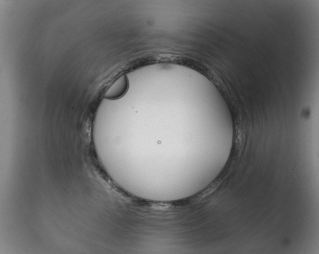 X0000111230666200907021025