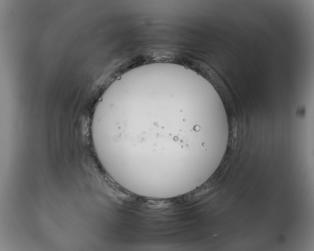 X0000111230667200907021025