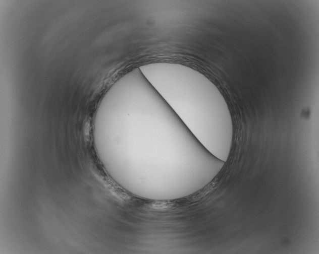 X0000111230668200907021025