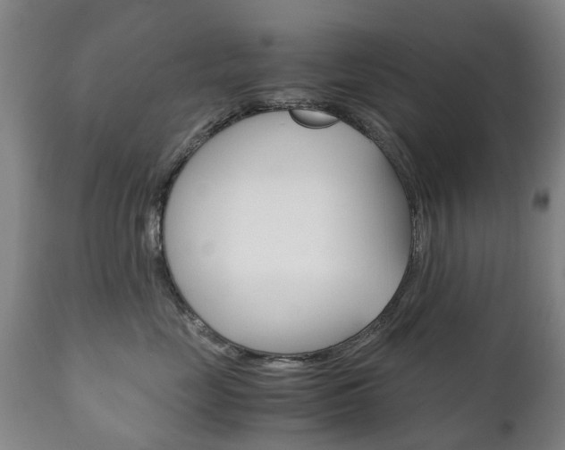 X0000111230669200907021025