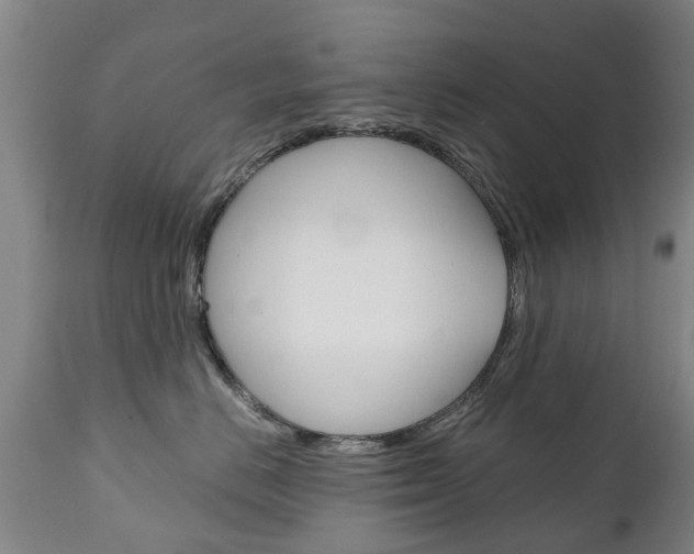 X0000111230670200907021025