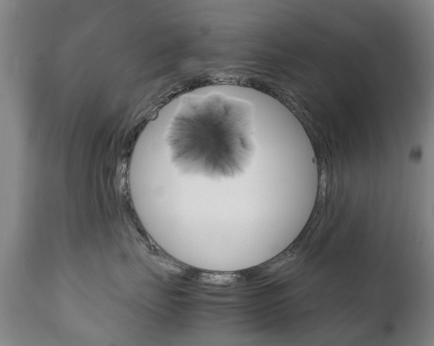 X0000111230671200907021025